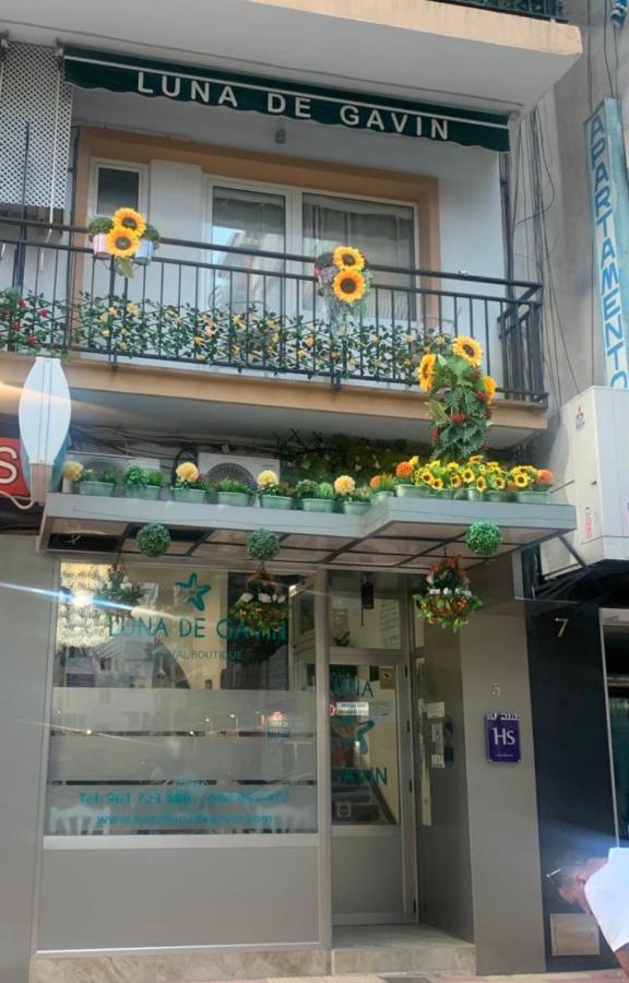 Hostal Boutique Luna De Gavin Cullera Exteriör bild